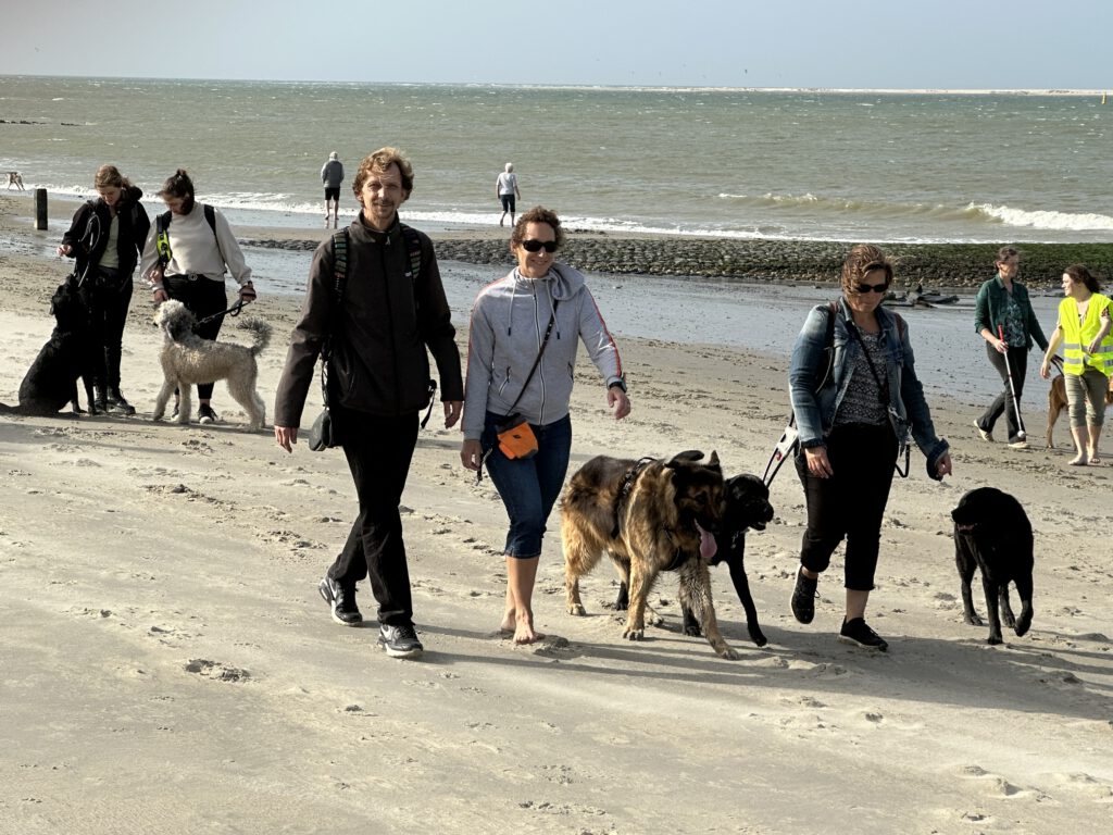 Groep wandelend op het strand