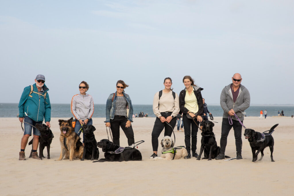 De Oogvereniging Zeeland en Koninklijke Viseo organiseerden voor het eerst een strandwandeling voor hun leden met blindengeleidenhonden. Tweede van links is Esther Sommer. © Katja van Noort